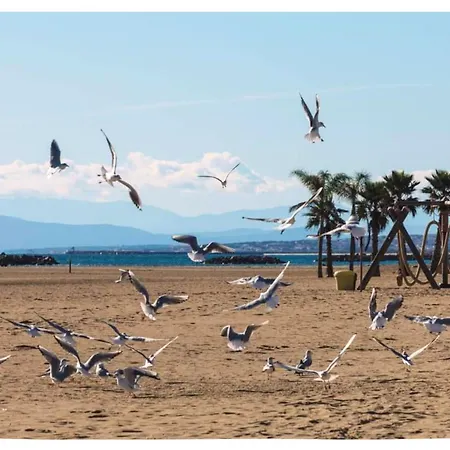 L'iranget, Maison De 6 Pers A 100 Metres Des Plages De *